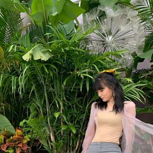 麻豆天美果冻星空国产
