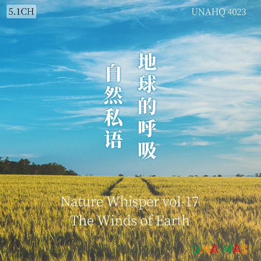 麻豆天美果冻星空国产
